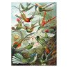 Puzzle "Les colibris" HAECKEL