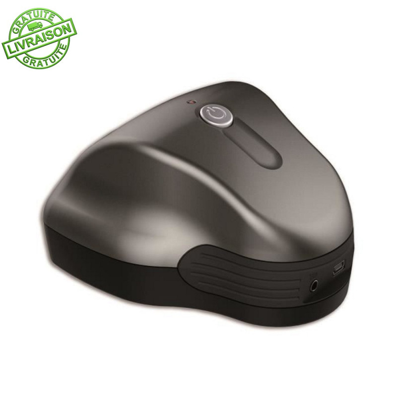 Souris Sans Fil Pour Ordinateur Portable - Livraison Gratuite Pour