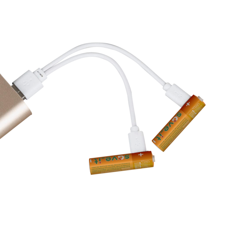 Piles rechargeables AA 1,5 Volt 2600 mWh avec câble de charge USB Type-C -  Choix