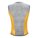 Gilet rafraîchissant Bodycool Xtreme - Jumbo Visma de dos