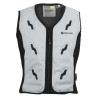 Gilet rafraîchissant - Dry - XS à 5XL - Gris argent face