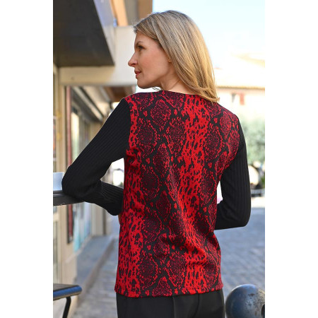Pull bicolore rouge dos