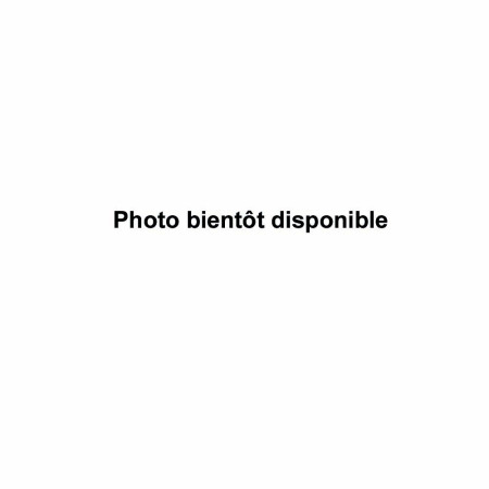 Bientôt disponible