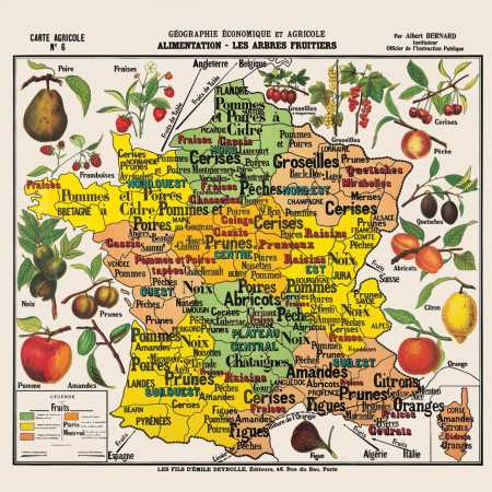 Puzzle bois 100 pièces seniors – Carte de France des fruits par Deyrolle
