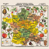 Puzzle bois 100 pièces seniors – Carte de France des fruits par Deyrolle Puzzle bois 100 pièces seniors – Carte de France des fruits par Deyrolle