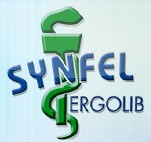 Logo Synfel