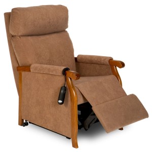 fauteuil releveur pluton 2 moteurs