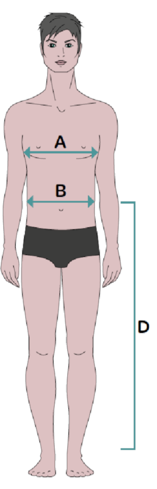 silouhette homme mensurations